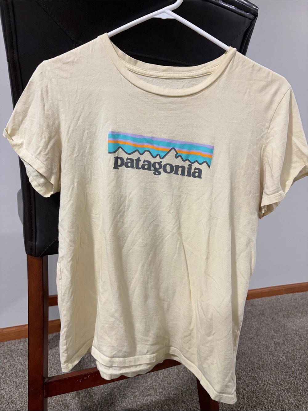 Patagonia Light Cream Logo Tee with Multicolor Stripe